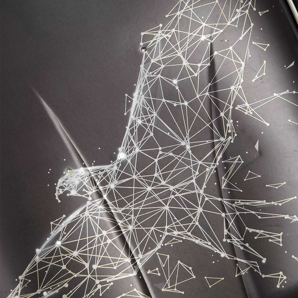 Изображение товара Школьный рюкзак Grizzly RAz-587-4 (черный)