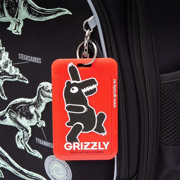 Изображение товара Школьный рюкзак Grizzly RAz-587-5 (черный)