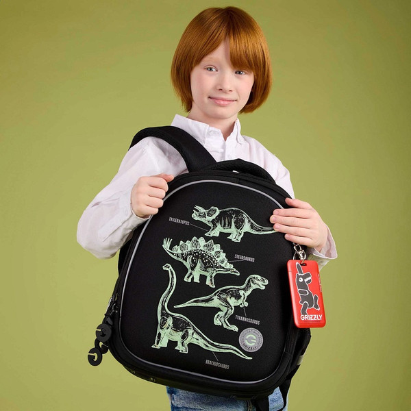 Изображение товара Школьный рюкзак Grizzly RAz-587-5 (черный)