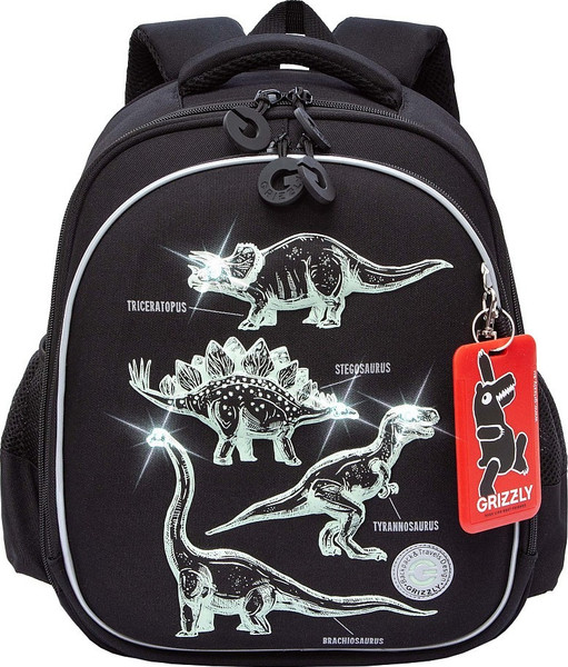 Изображение товара Школьный рюкзак Grizzly RAz-587-5 (черный)