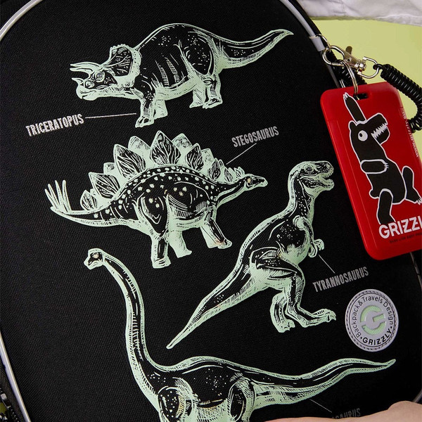 Изображение товара Школьный рюкзак Grizzly RAz-587-5 (черный)