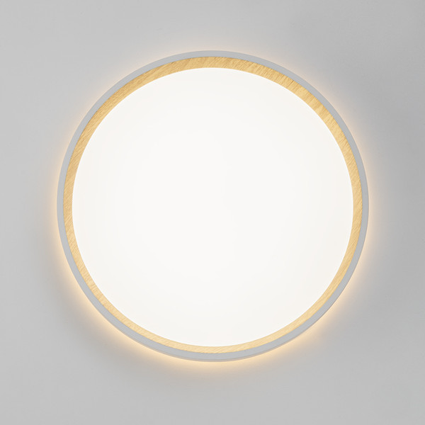 Изображение товара Светильник Citilux Etalon CL750240 (белый/бук)