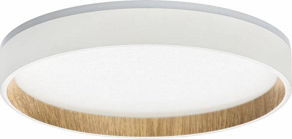 Изображение товара Светильник Citilux Etalon CL750240 (белый/бук)