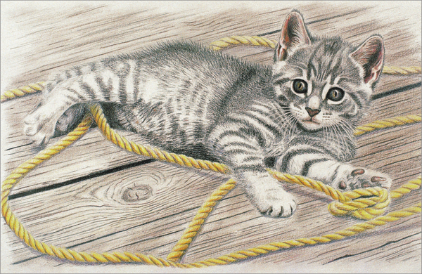 Изображение товара Книга АСТ Цвет, твердая обложка (Walter Foster)