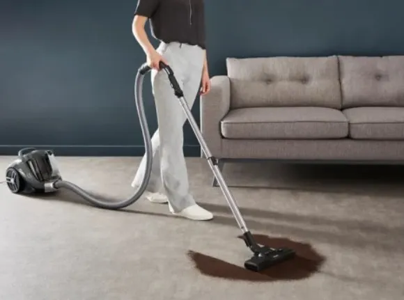 Изображение товара Пылесос Tefal TW4B36EA