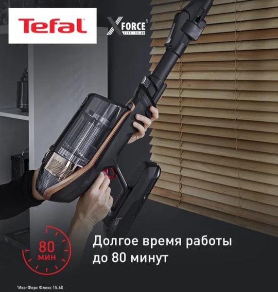 Изображение товара Вертикальный пылесос Tefal TY99G1WO