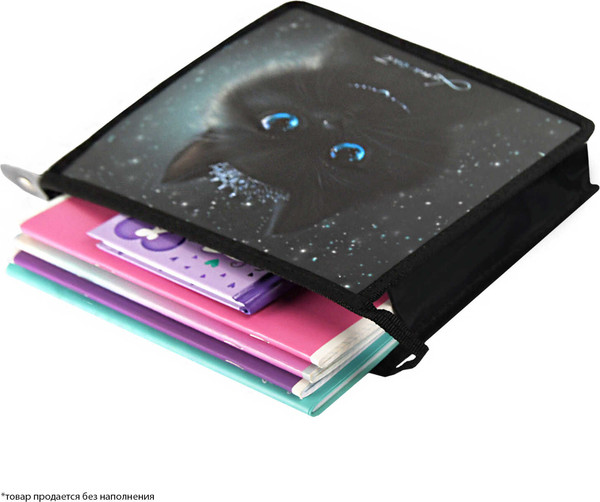 Изображение товара Папка для тетрадей Феникс+ Принцесса Луна / 69297