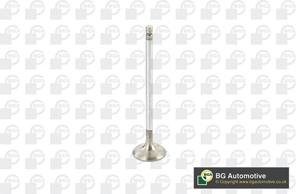 Изображение товара Впускной клапан двигателя BGA V612090