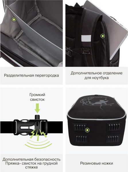 Изображение товара Школьный рюкзак Grizzly RAw-594-6 (черный/разноцветный)