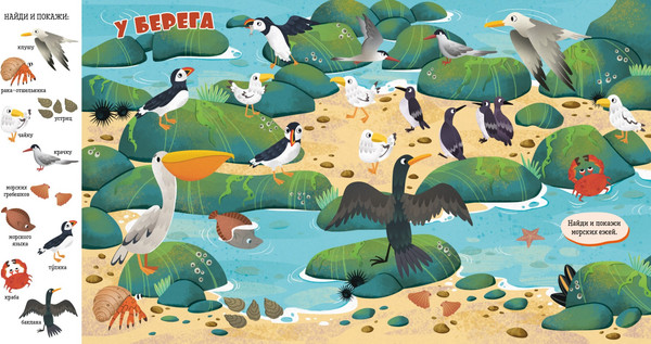 Изображение товара Развивающая книга CLEVER Найди и покажи, малыш. Океаны и моря, твердая обложка