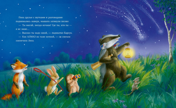 Изображение товара Книга CLEVER Приключения Ежульки. Самая звездная ночь, твердая обложка (Батлер Кристина)