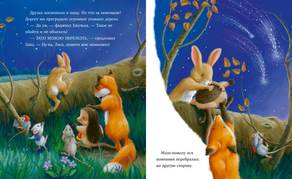 Изображение товара Книга CLEVER Приключения Ежульки. Самая звездная ночь, твердая обложка (Батлер Кристина)