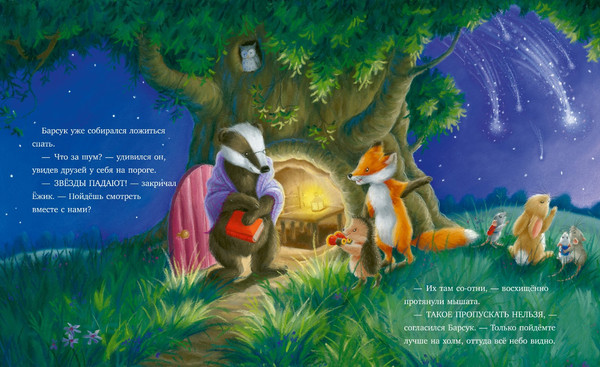 Изображение товара Книга CLEVER Приключения Ежульки. Самая звездная ночь, твердая обложка (Батлер Кристина)