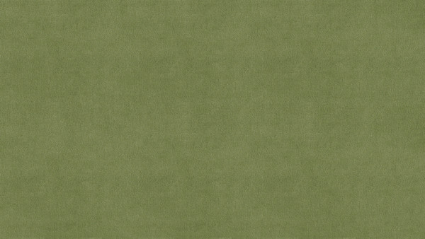 Изображение товара Полуторная кровать Moon Family 1261 / MF011988