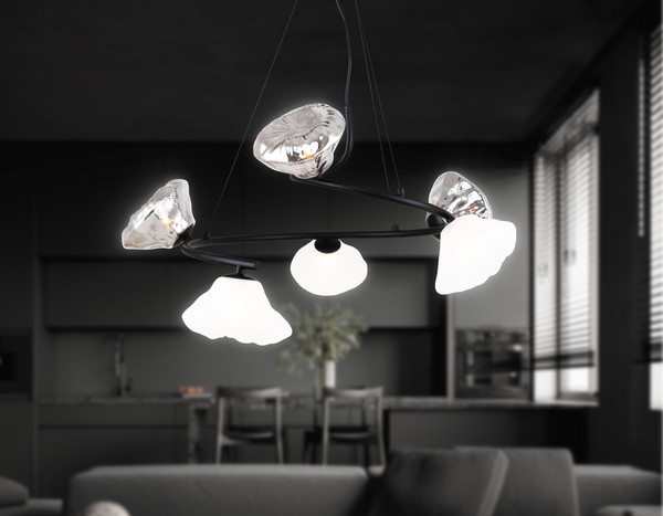 Изображение товара Люстра Ambrella LH15003/6 BK/FR/SM (черный/белый матовый/дымчатый)