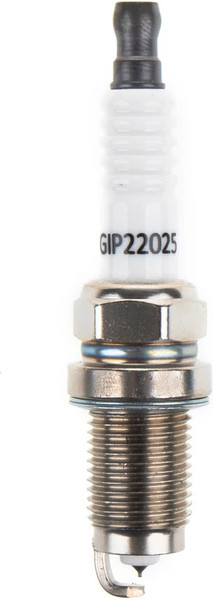 Изображение товара Свеча зажигания для авто GANZ GIP22025