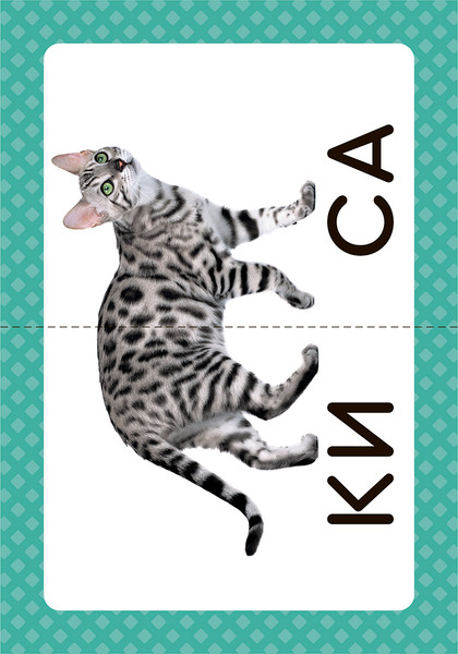 Изображение товара Развивающие карточки Литера Логопедические. Запускаем речь. Слова из 2 слогов