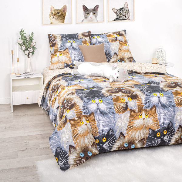 Изображение товара Комплект постельного белья АртПостель Муррито 504