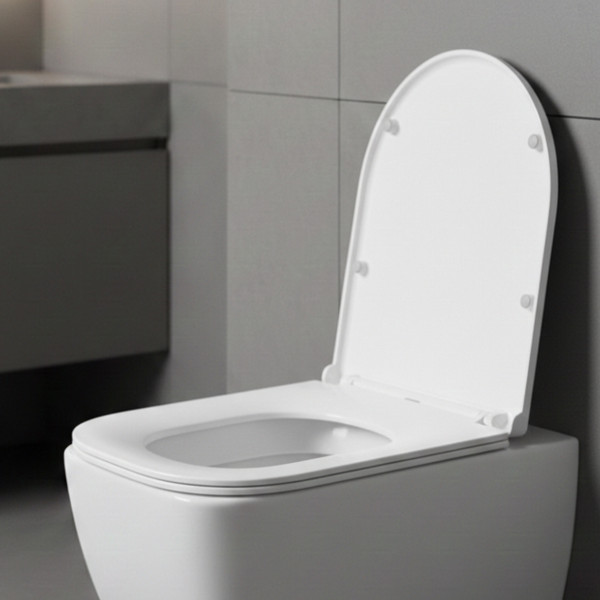 Изображение товара Сиденье для унитаза Saniteco KW-T005B-R