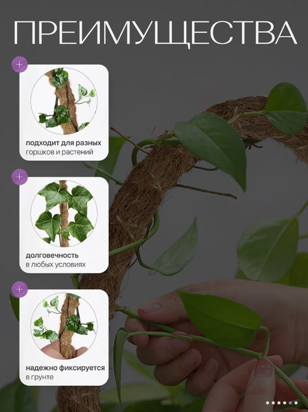 Изображение товара Опора для комнатных растений BOTANICA Кокосовая гибкая 80см (25мм)