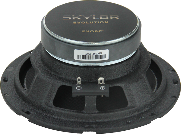Изображение товара Компонентная АС Skylor EVO6C