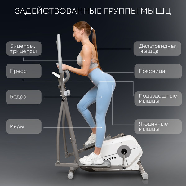 Изображение товара Эллиптический тренажер PLANTA FD-E900