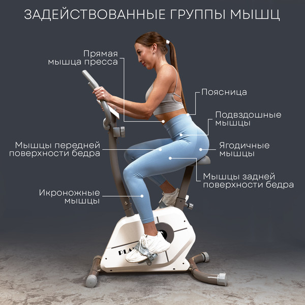 Изображение товара Велотренажер PLANTA FD-BIKE-900
