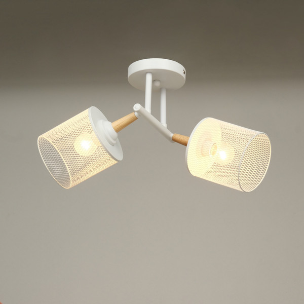 Изображение товара Потолочный светильник BayerLux Ринас 10385901 (белый)