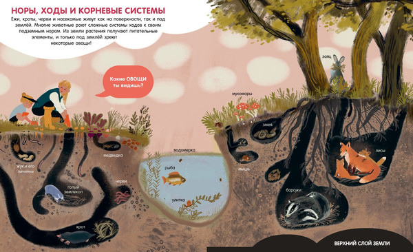 Изображение товара Энциклопедия CLEVER Удивительные энциклопедии. Мир вокруг, твердая обложка
