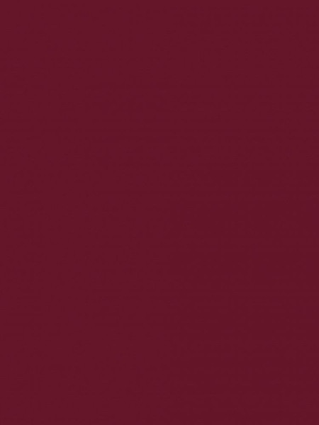 Изображение товара Пленка самоклеящаяся универсальная Color Dekor 2008 (0.675x8м)