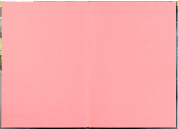 Изображение товара Дневничок Феникс+ Утренний кот / 70159