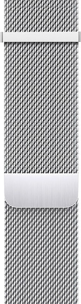 Изображение товара Ремешок для умных часов Hoco WH02 (20мм, серебро)