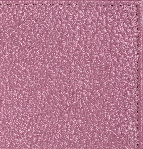 Изображение товара Обложка на паспорт Brauberg 238861 (пудровый)