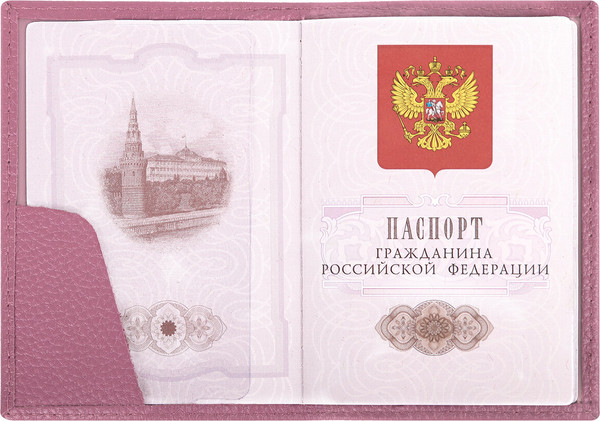 Изображение товара Обложка на паспорт Brauberg 238861 (пудровый)