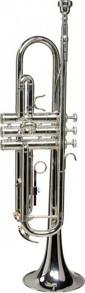 Изображение товара Труба SML Paris TP500S