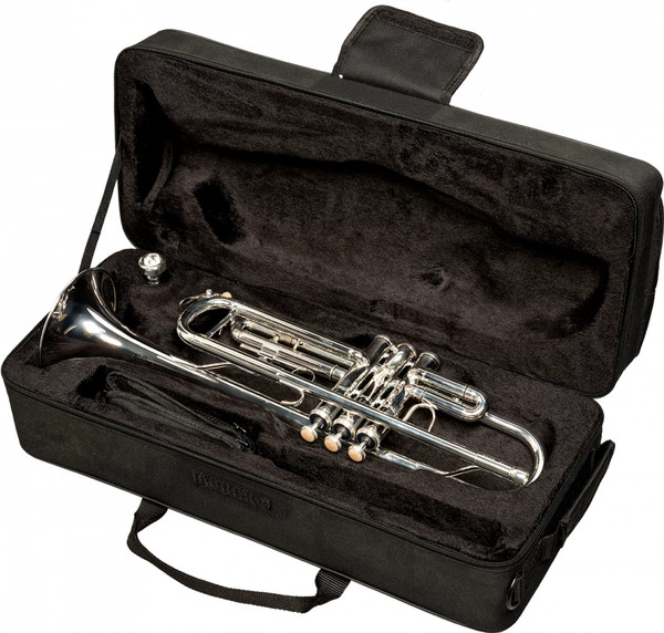 Изображение товара Труба SML Paris TP500S