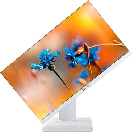 Изображение товара Моноблок Тесла P24WP / 2108500