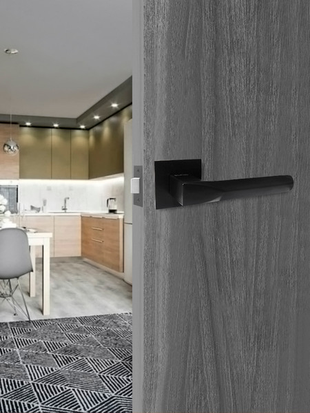 Изображение товара Ручка дверная Vrata 2173 AL серия 03 Slim (черный)