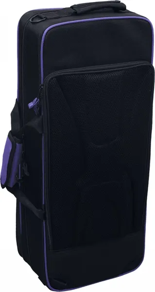 Изображение товара Саксофон SML Paris A620-II