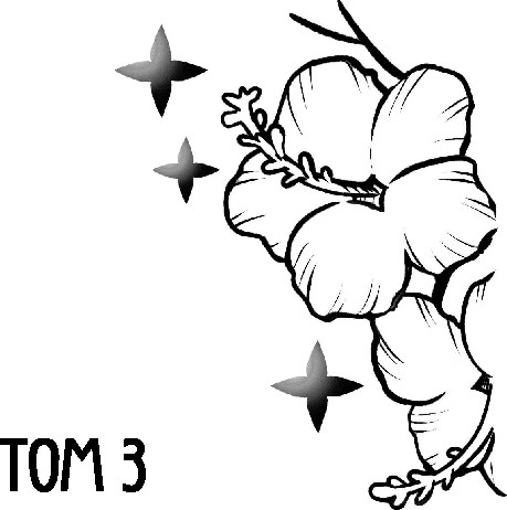 Изображение товара Книга Like Book Дракон и Буревестник. Нефритовое сердце, твердая обложка (Белл Том)