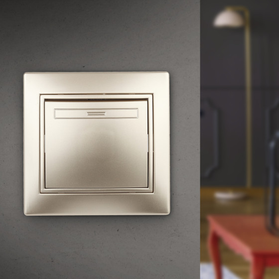 Изображение товара Выключатель INTRO Plano 1-101-04 / Б0053724 (шампань)