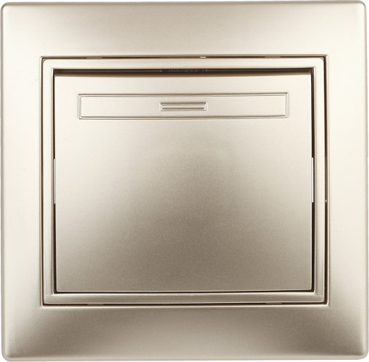 Изображение товара Выключатель INTRO Plano 1-101-04 / Б0053724 (шампань)