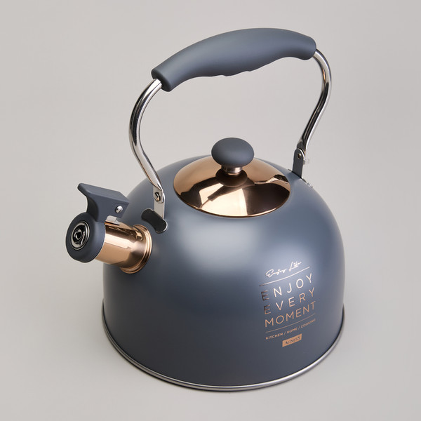 Изображение товара Чайник со свистком Agness 914-161