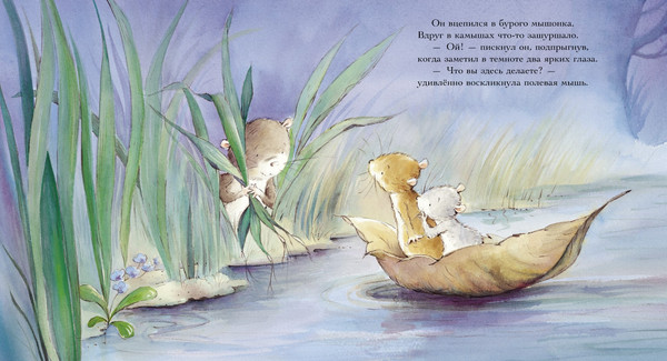 Изображение товара Книга CLEVER Книжки-картинки. Счастливая звезда (Батлер Кристина)