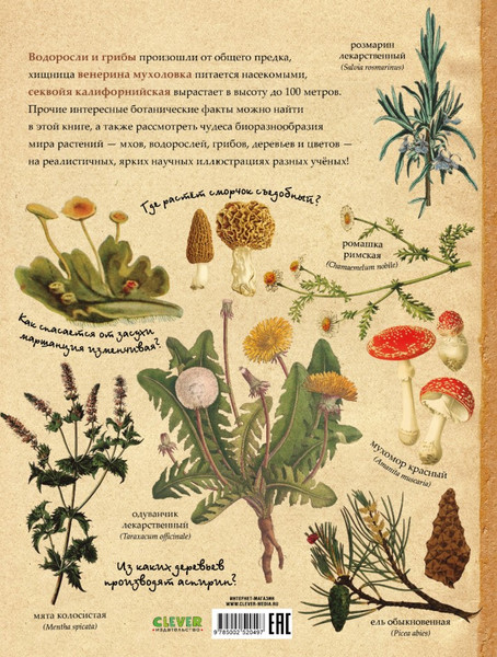 Изображение товара Энциклопедия CLEVER Ботаника в картинках, твердая обложка (Сория Кармен)