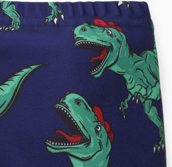 Изображение товара Комплект для плавания детский Kaftan Динозавр / 9622598 (р.98-104)