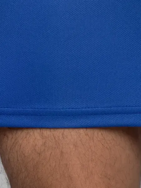 Изображение товара Шорты спортивные FN Stride / FN4262003-400 (6XL, синий)