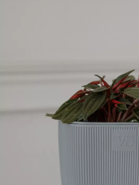 Изображение товара Кашпо VipSet Фабио с дренажной системой (1.95л, серый)