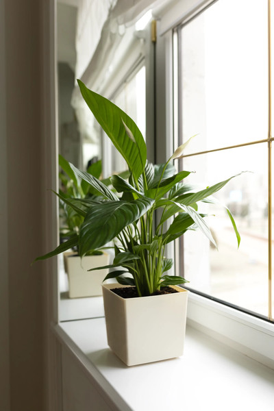 Изображение товара Кашпо Gardenplast Флокс №2 / 00198