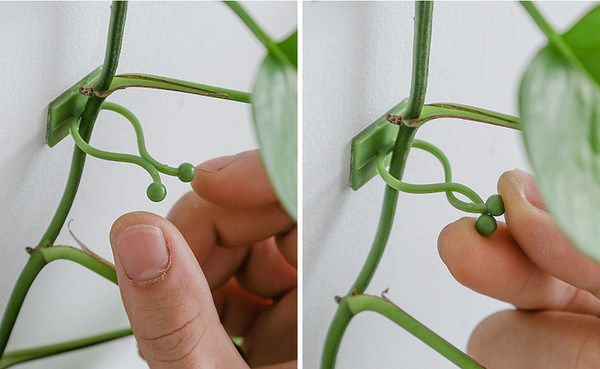 Изображение товара Набор зажимов садовых BOTANICA И проводов (20шт, зеленый)